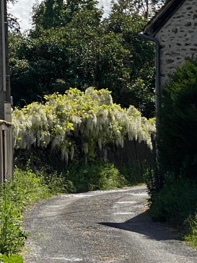مبيت وإفطار Saint Cyr-sous-Dourdan Le Moulin Bleu المظهر الخارجي الصورة